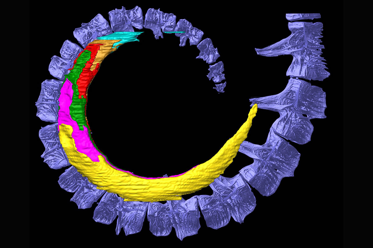 ����β�;��ܸ����š����ס���Ȼ�������㹻�����