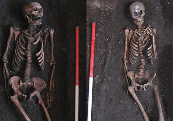 ר��ָ����û�л����ؼ���