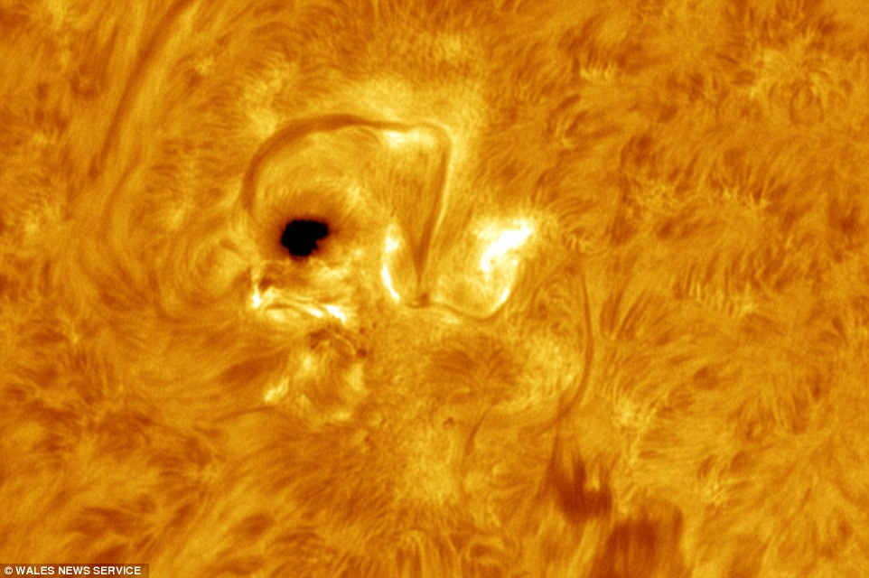 ���İ����߹۲⵽̫�����Ӿ�Ȼ��һֻ�ճ�����С��