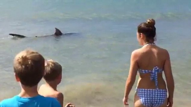 Ӿ����Զ�۲����㶯��