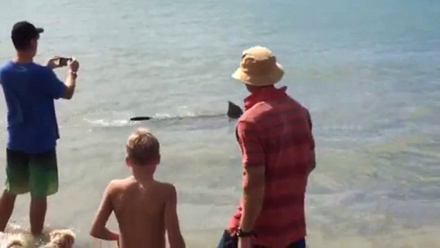 Ӿ�;ٻ�������������