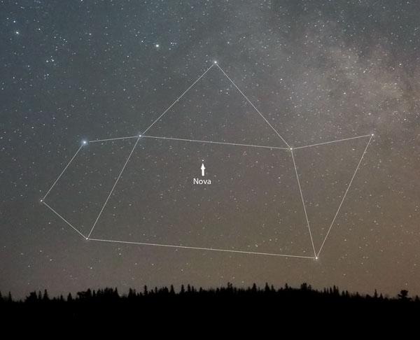 澳大利亚天文爱好者John Seach发现的人马座新星