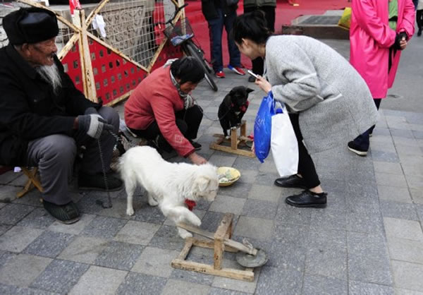 期间,不少人感觉有趣并给打赏钱。