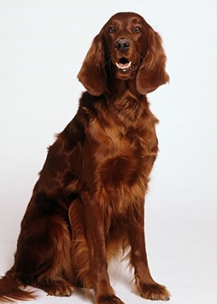 ��๷��ϲ��������Ȯ����������