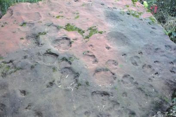 专家称,这组恐龙脚印再现了一个猎杀场景