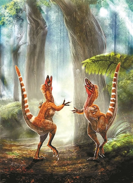 �л����� 2009��