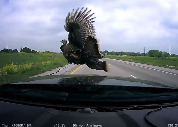 ����������˾��������ɲ����