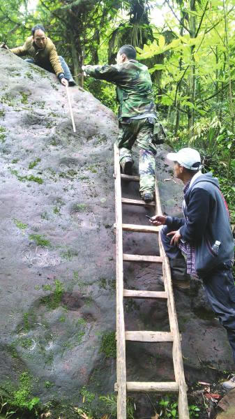 专家准备对恐龙足迹进行拓片研究