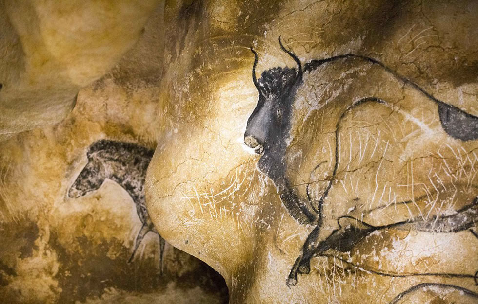 ˹ƶѨΪŶѨ1000ĸƵʷǰѨڻ