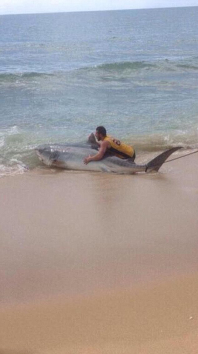 �Ĵ����������ں�̲�����������4�׳����� ������Сʱ�������ս�����Ź��