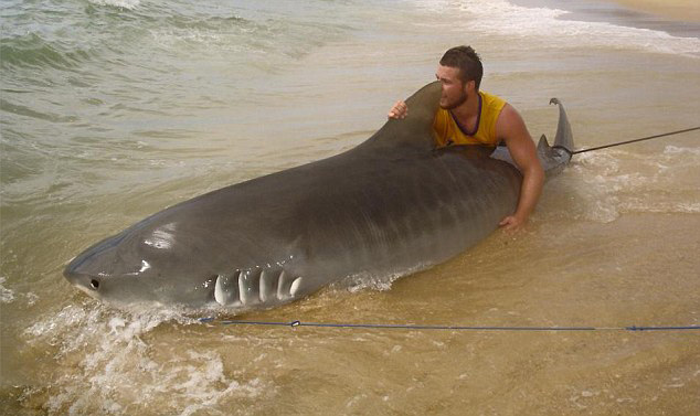 �Ĵ����������ں�̲�����������4�׳����� ������Сʱ�������ս�����Ź��