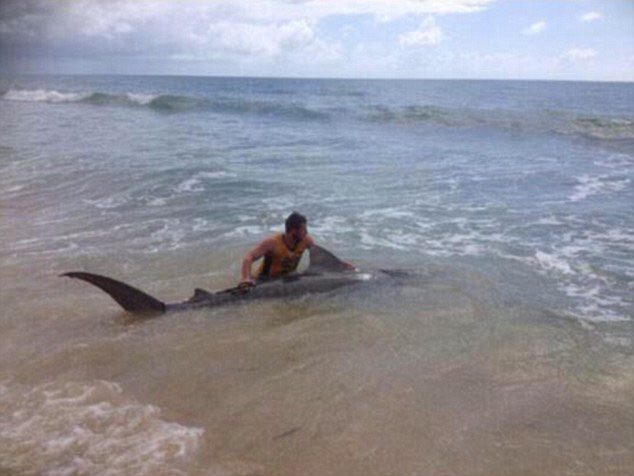 �Ĵ����������ں�̲�����������4�׳����� ������Сʱ�������ս�����Ź��