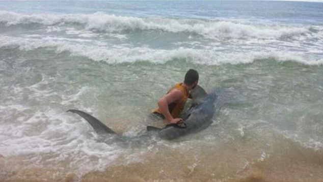 �Ĵ����������ں�̲�����������4�׳����� ������Сʱ�������ս�����Ź��