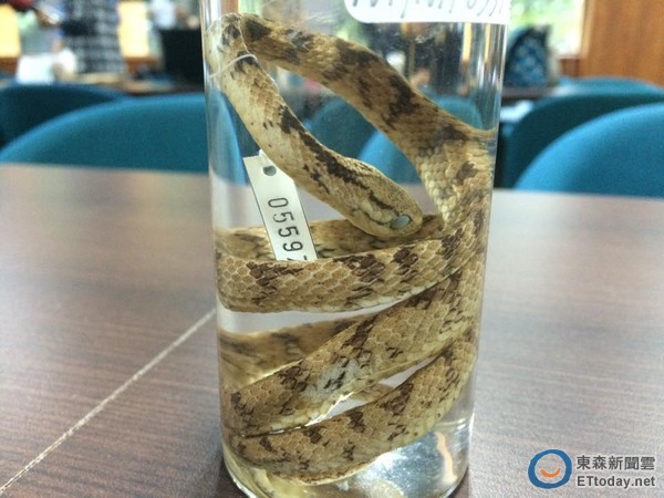 ̨ʦоŶӷ̨ࡰ̩Ŷͷߡ