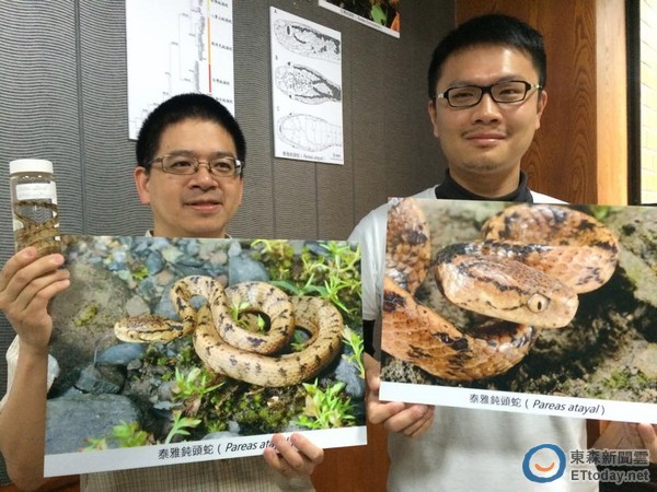 ̨ʦѧϵоγ⣨ң˼Ŷӷ̩֡Ŷͷߡͼӱ㣩