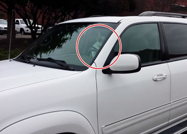 ����˹ѭ��������ҵ�һ������·�ߵ�����������ԭ������һֻ��������Ȧʾ����