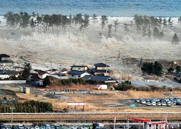 2011궫ձͼǰϦĳظҲǳ¼