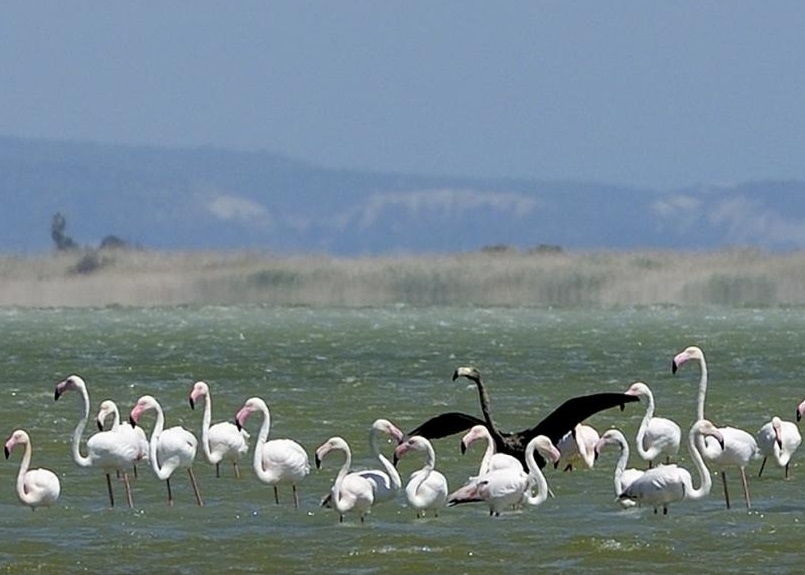 רָɫ׿ܺȥɫбֵͬһֻ