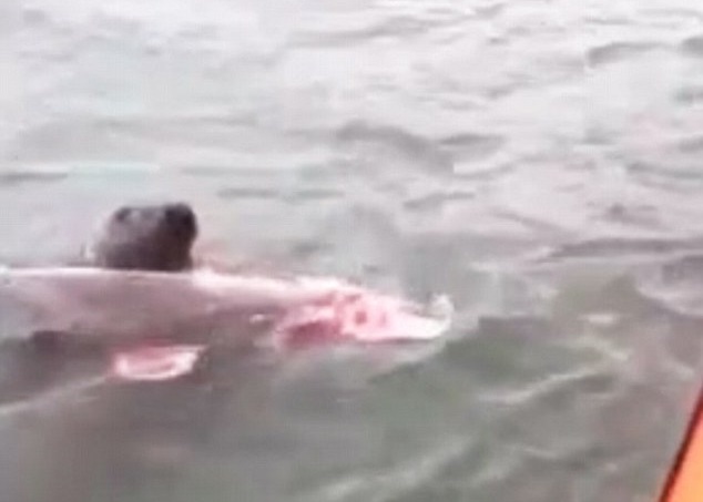 ����ҧ�������ʬ��