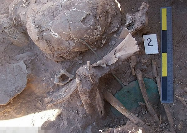 部分木乃伊有被人肢解后砌回原形的痕迹