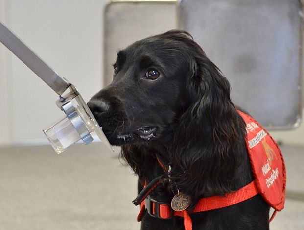 оֻ֣ƾ̽ҺԼ⵽ǰٰɿȸߴ98%