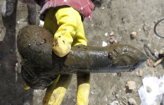 ��������ѧУ�ż��ڳ�300��ǰ�������µļ�����