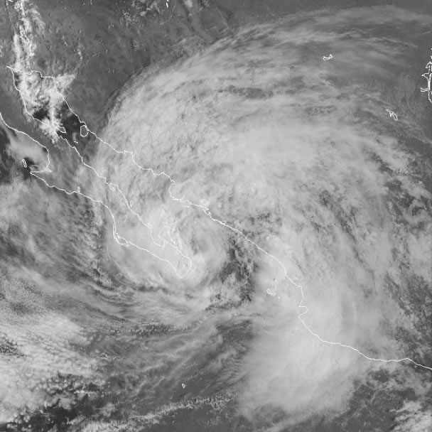 ����˹1998����ī����ݻ��˳���700�׷��ݣ���ֱ�ӵ���14��������