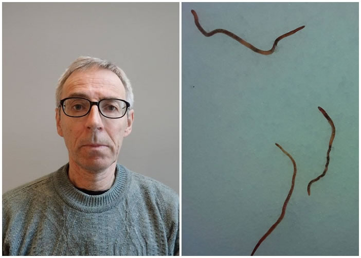 埃斯特(左图)肯定这些蚯蚓(右图)是从天而降的。