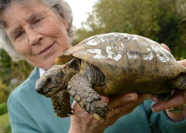 ˹�п�˹�밮���ž�