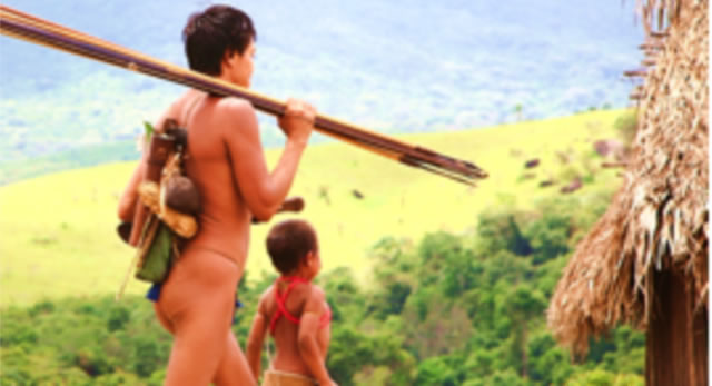少与外界接触的亚诺马米族人拥天然抗药基因