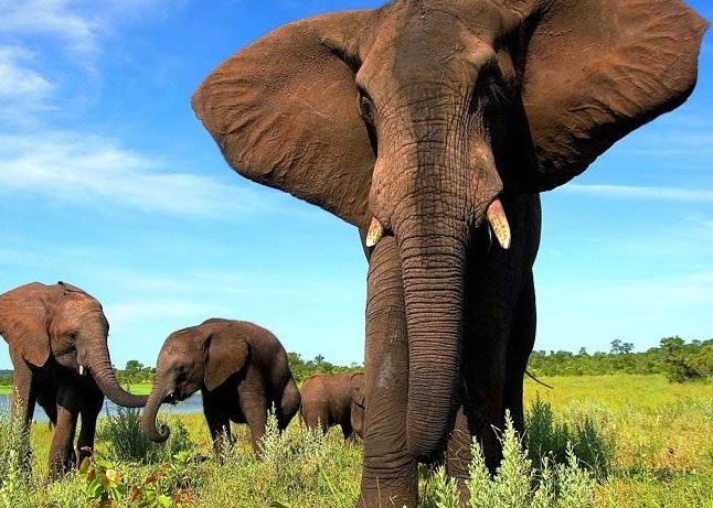 ϮɭСֵڣر׷ŭͼƬ