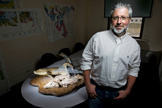 化石记录的未来