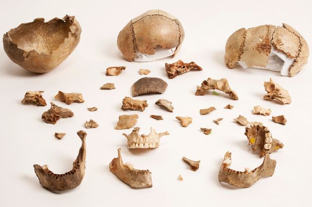 Ӣ����Ĭ���ؿ���Ѩ�����������ȳ�ͬ���֤��