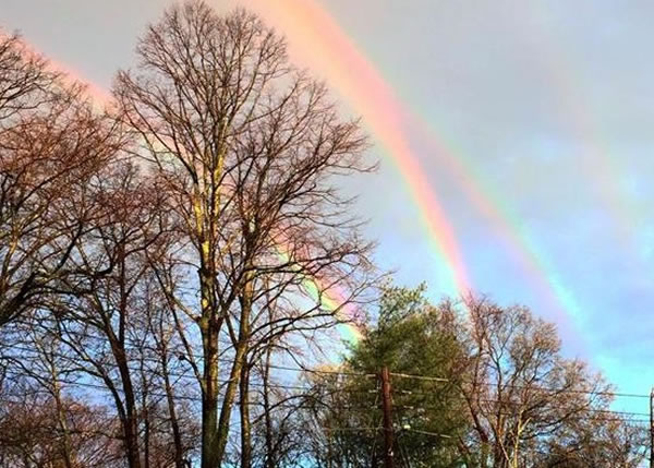 �ŵ�˹��4���ʺ����������