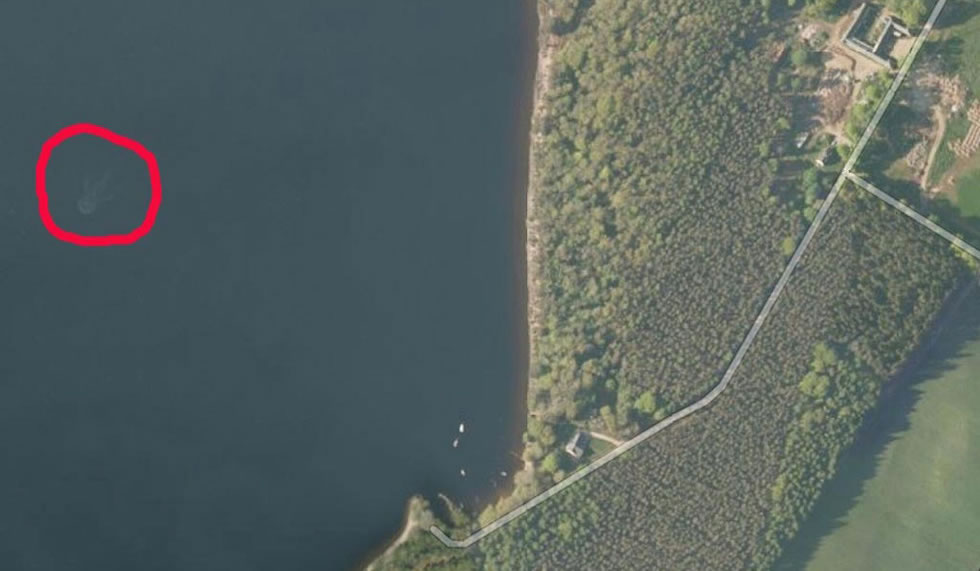 尼斯湖水怪照片曝光81周年:英国《镜报》盘点与这种神秘生物有关的20个有趣故事