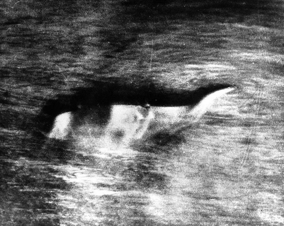尼斯湖水怪照片曝光81周年:英国《镜报》盘点与这种神秘生物有关的20个有趣故事