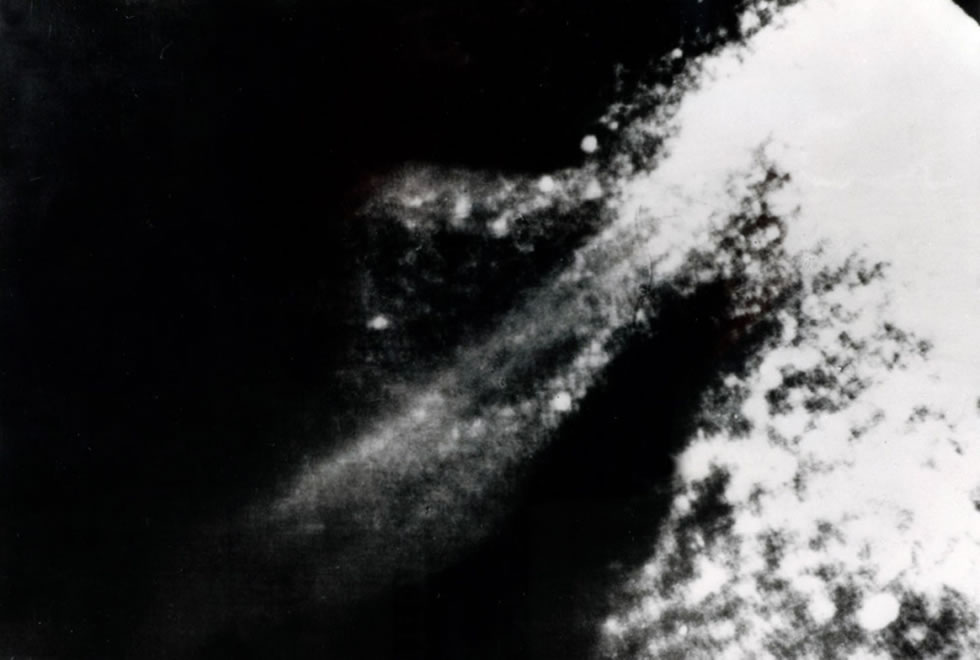 尼斯湖水怪照片曝光81周年:英国《镜报》盘点与这种神秘生物有关的20个有趣故事