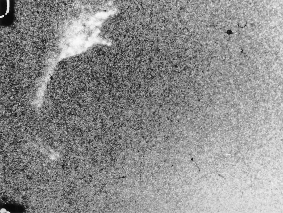 尼斯湖水怪照片曝光81周年:英国《镜报》盘点与这种神秘生物有关的20个有趣故事