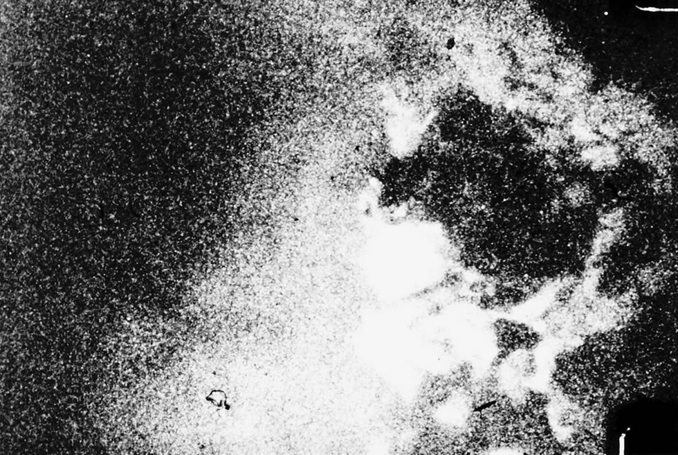 尼斯湖水怪照片曝光81周年:英国《镜报》盘点与这种神秘生物有关的20个有趣故事