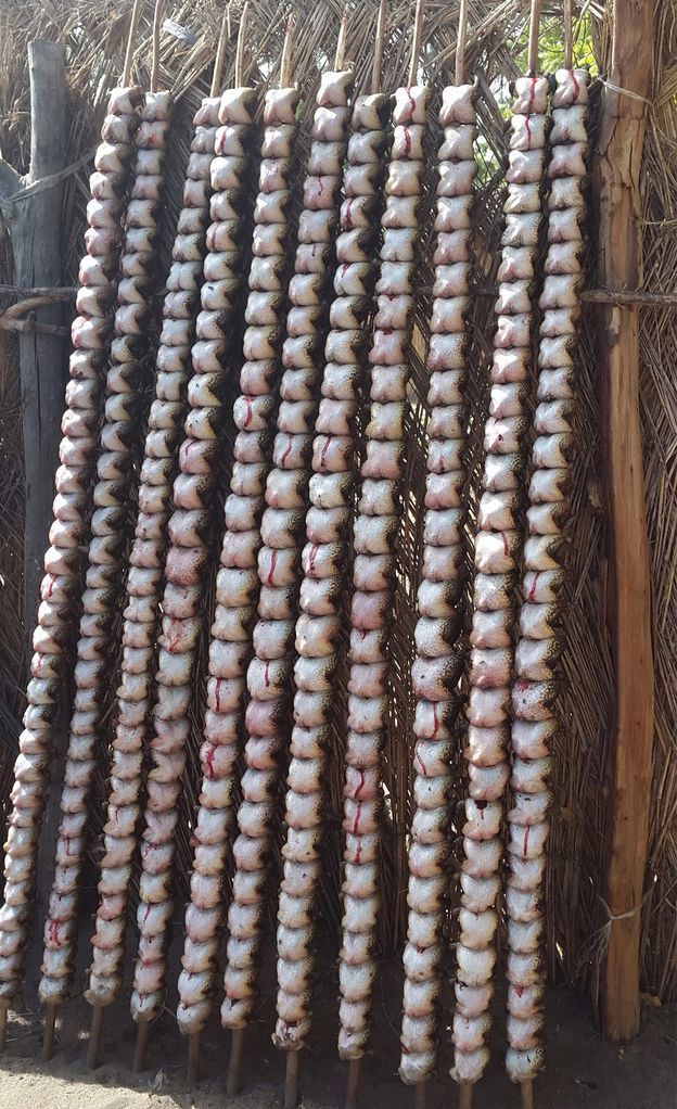 ްѴõܷɡЩܴûھǵʳ