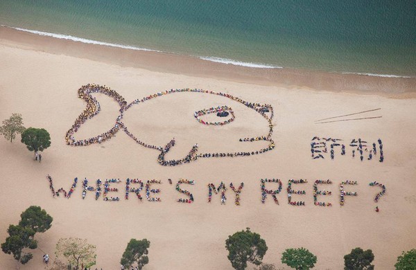 香港900名儿童排成超大珊瑚鱼 纪念即将到来的儿童海洋日