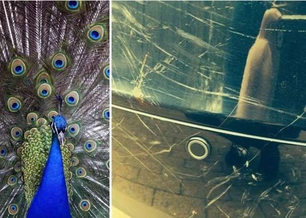 ��ȸ��ѳ��ӷ�ӳ������Ӱ����������ȸ�����Գ��ֿ�ץ��