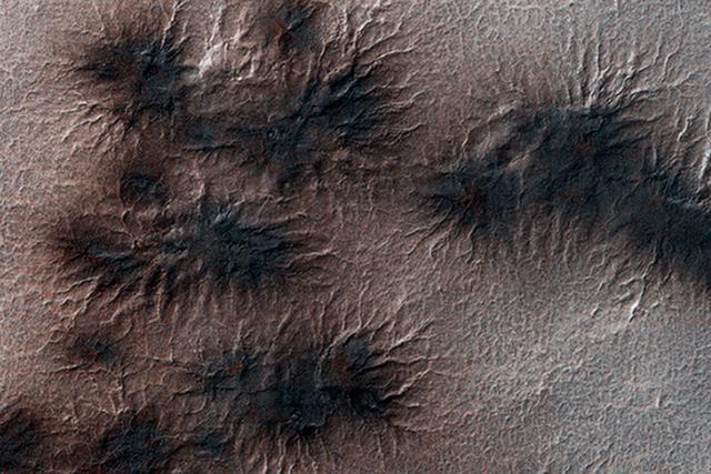 ͼ����ʾ��Ϊ���Ǽ��������緢�γɵ� ��֩�롱��ò