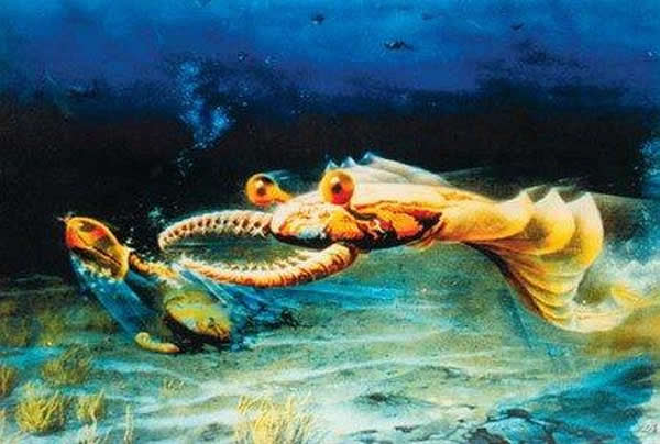 ��Ϻ�峤���ܳ���2�� ����֪���Ӵ�ĺ���Ͷ���