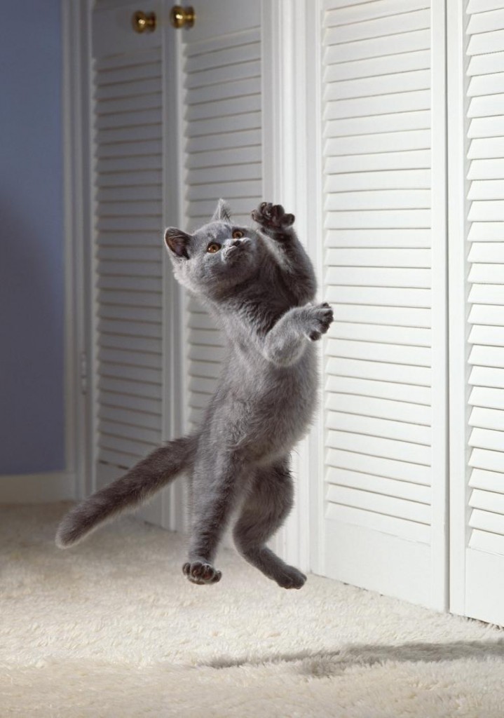 è䣨ͼֻӢëèһֻƣʱԽŵءרָȻпˡ Photograph by Stephe