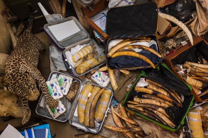 2011721ڿȵĪ・Jomo Kenyattaʻػй˽װзǷ䡣ＯŽǷ