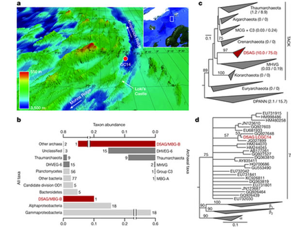 ������������еĹ�ϸ�� Ϊ��ʾ����ϸ�������ݻ���Դ���������
