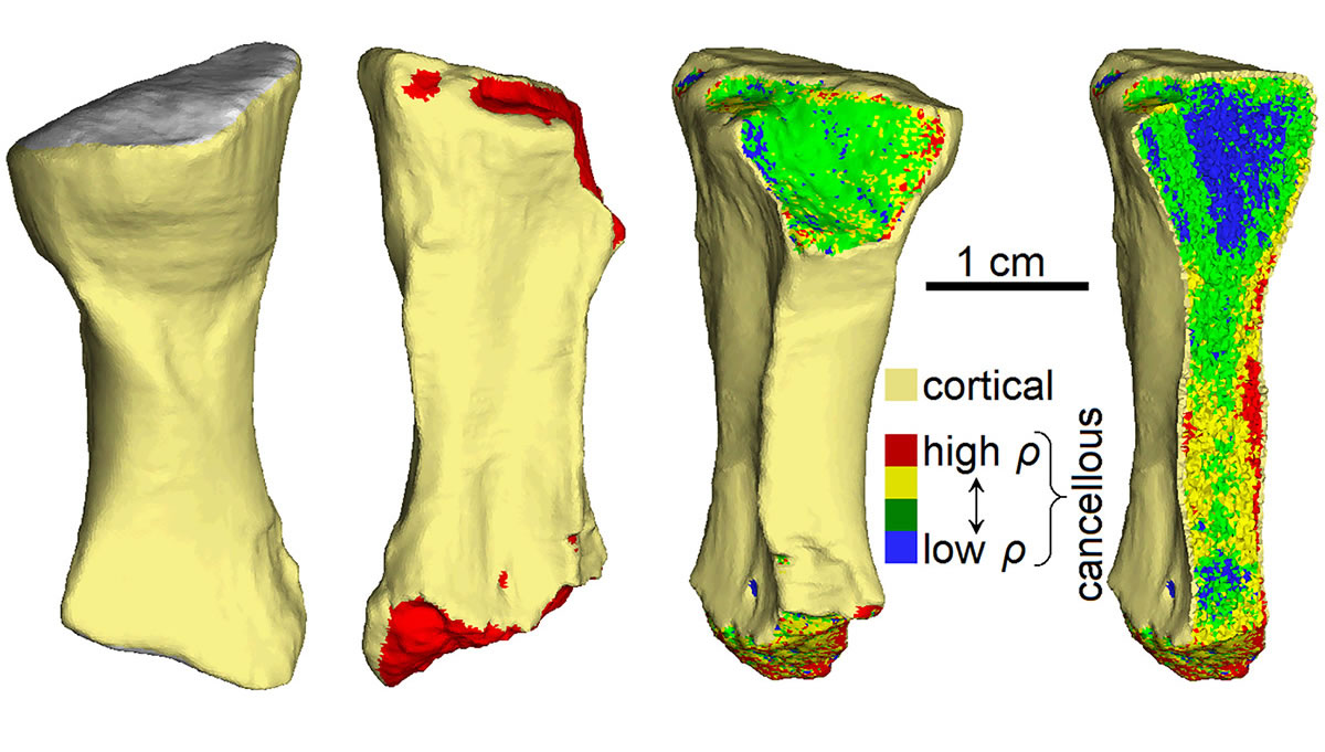 㶯ﻯʯʾ3.33ǰһι