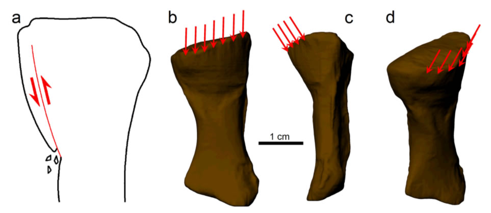 㶯ﻯʯʾ3.33ǰһι