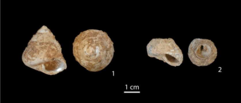 �����������Ks&acirc;r ��Akil�ص�ı���װ����ķ�����̼���꣬ͨ�������ʯ��ʱ�����ڣ�UP�����������״���ŷ�޳���֮ǰ��û���ڽ�������